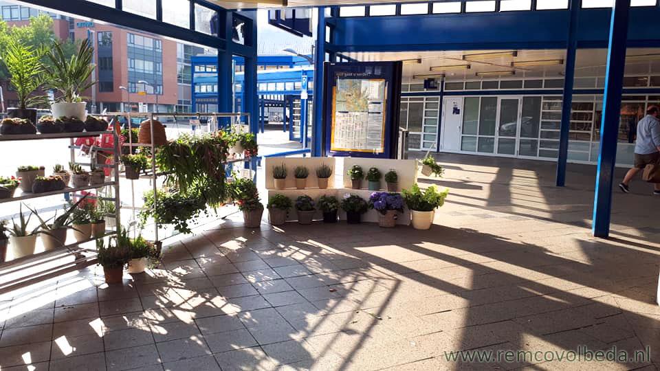 bloemen kopen bij ns station heerenveen